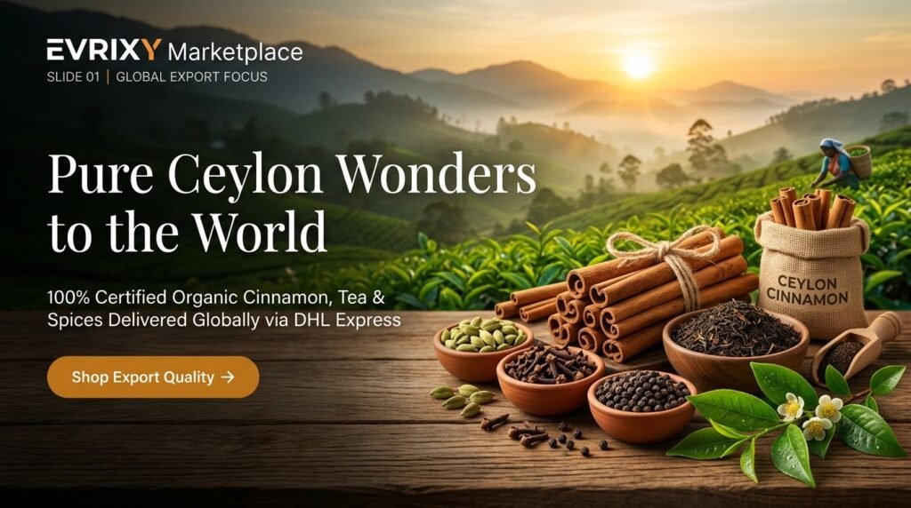 Evrixy global export focus banner